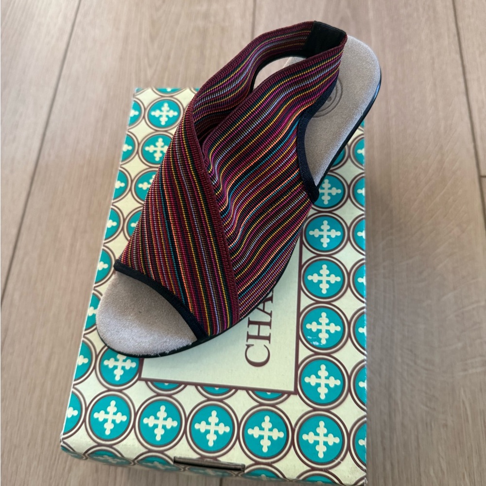 Charleston shoe sandals. Brand new never worn. Can be worn 3 seasons